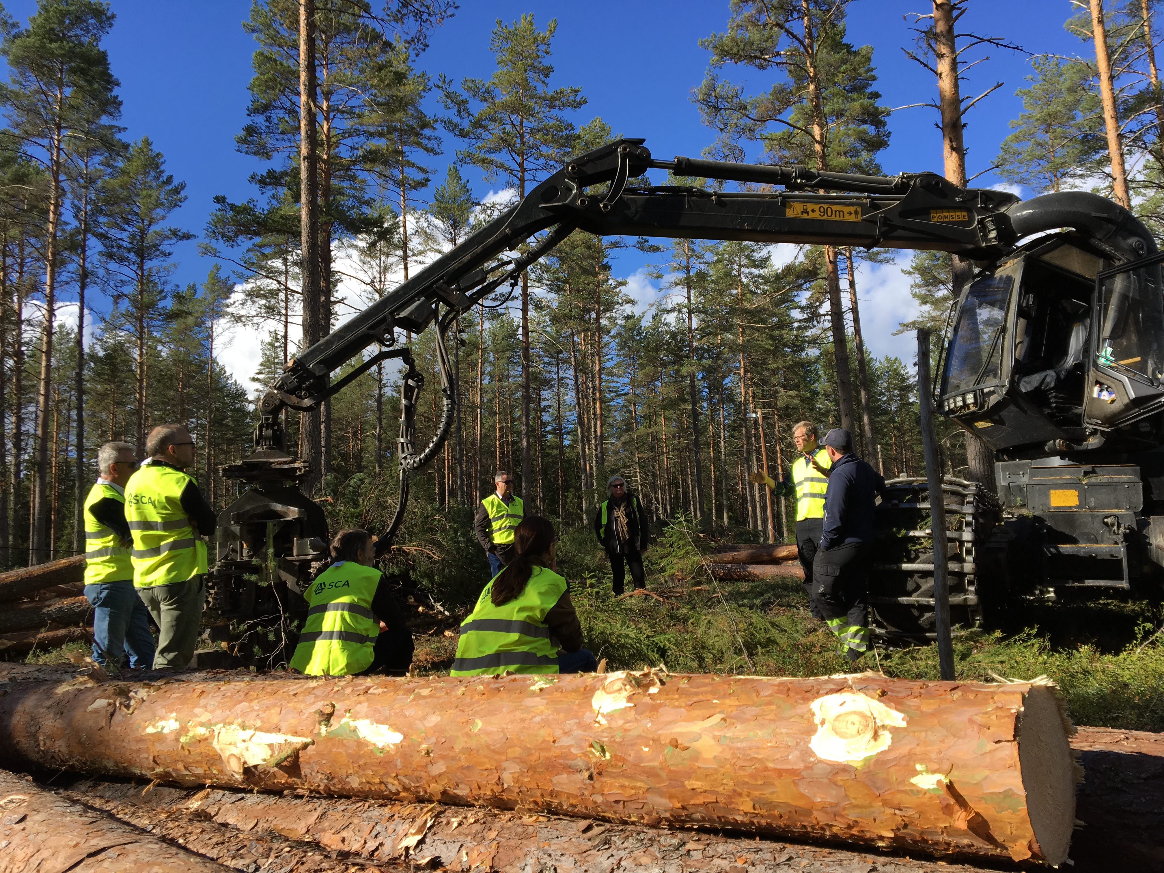 SCA Wood Lär Lärarna Om Träproduktion - SCA